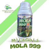  MOLA 999 