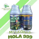  MOLA 999 