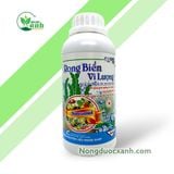  RONG BIỂN VI LƯỢNG - chai 500ml - DIMO 
