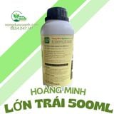  LỚN TRÁI HOÀNG MINH 500ML 