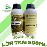  LỚN TRÁI HOÀNG MINH 500ML 
