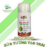 SỬA TƯỚNG TẠO TRÁI BIGCROP 