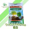  Phân Bón Hữu Cơ Trichoderma BS 