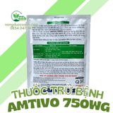  THUỐC TRỪ BỆNH AMTIVO 750WG 