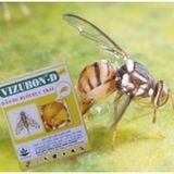  Thuốc Dẫn Dụ Diệt Ruồi Đục Trái VIZUBON - D Vipesco. 