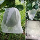 (500 cái) Túi Bao Bưởi 30x35 - Quà hot 