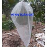  (500 cái) Túi Bao Bưởi 30x35 - Quà hot 