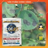  [COMBO 5] Thuốc trừ nấm bệnh COC 85 gói 20g [sieutietkiem] . Nông Dược Xanh 