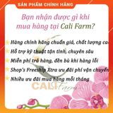  Phân bón lá kích Ra Rễ Cực Mạnh N3M - hộp 100g . Nông Dược Xanh 