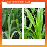  Thuốc trừ bệnh Phytocide 50WP 80g . Nông Dược Xanh 