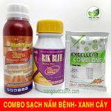  COMBO Trừ Nấm Bệnh – Xanh Cây. Rik Blue - Metalaxyl - Combi One 