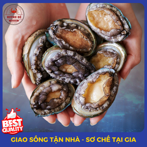 Ốc - Nghêu - Sò