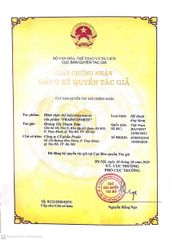 Điện giải Prado