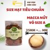  Hạt Macca Nứt Vỏ A - P500 