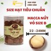  Hạt Macca Nứt Vỏ B - P500 