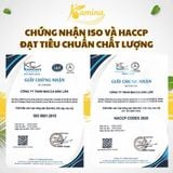  Hạt Macca Nứt Vỏ  - H1000 