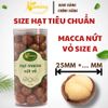  Hạt Macca Nứt Vỏ A - P500 