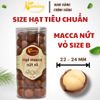  Hạt Macca Nứt Vỏ B - P500 