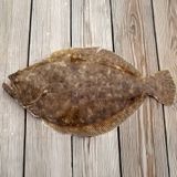  CÁ BƠN NÂU HÀN QUỐC 