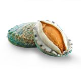  BÀO NGƯ NGỌC BÍCH 