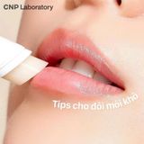 Son Dưỡng Môi Keo Ong CNP Propolis Derma Moisture Lip Balm 4g