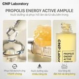 Tinh chất keo ong CNP Propolis Energy Active Ampule 15ml-50ml