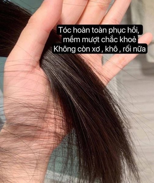 [ Tem LG ] Dầu Gội và Dầu Xả The Whoo Spa Essence Rinse 350ml