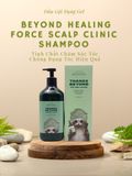 Dầu gội Beyond Healing Force Scalp Clinic Shampoo 1000ml