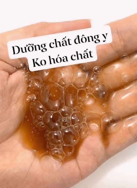 [ Tem LG ] Dầu Gội và Dầu Xả The Whoo Spa Essence Rinse 350ml
