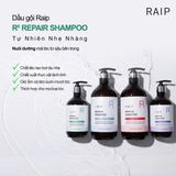 Dầu Gội - Dầu Xả Raip Repair Shampoo - Repair Treatment Original 500ml Phục Hồi - Mềm Mượt Tóc