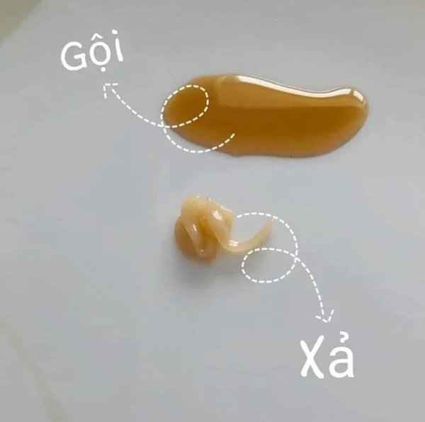 [ Tem LG ] Dầu Gội và Dầu Xả The Whoo Spa Essence Rinse 350ml