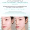 Phấn Phủ Kiềm Dầu Espoir Fresh Setting Powder Chữ Xanh (Mẫu Mới)