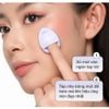 Bông Mút Mini Nhỏ Gọn Mềm Mịn Ofelia  (Lẻ 1 Cái)