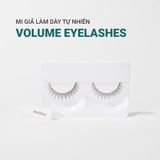  Mi Giả Cho Đôi Mắt Đẹp Tự Nhiên Innisfree Volume Eyelashes (1 Bộ) 