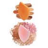 Tổng Hợp Mút Tán Phấn Phủ & Nền Real Techniques Miracle Powder (Set 2 Cái- Cam- Hồng)
