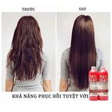Bộ Gội Xả Tigi Bed Head Phục Hồi Tóc