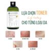 NƯỚC HOA HỒNG NGỪA MỤN CARYOPHY 3IN1 PORTULACA TONER 300ML- tặng 1 bình nước