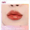 Son thỏi Espoir Lipstick No Wear Shine- màu Apricot brandy