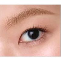 Mascara Lông Mày Peripera Ink Speedy Skinny Browcara màu [01- 02- 03- 04- 05]