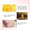 Son Dưỡng Môi Catrice Plump It Up Lip Booster 3.5ml - Căng Mọng Môi