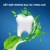 Kem đánh răng 3D Crest Plus Deep Clean 153g - Crest White Pro Advanced Whitening 147g