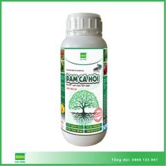 Phân bón Đạm Cá Hồi 500ml