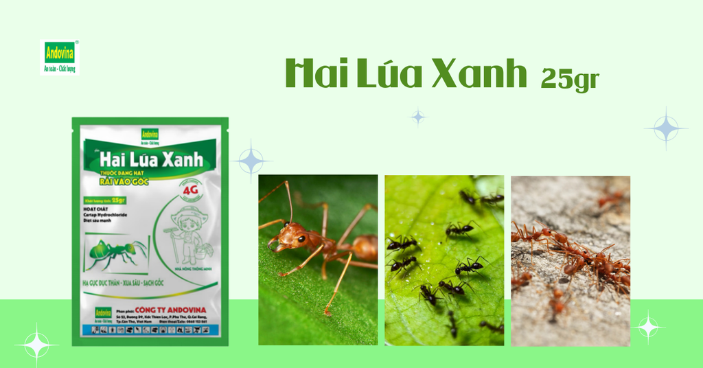 Hai Lúa Xanh ® 25gr