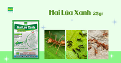 Hai Lúa Xanh ® 25gr