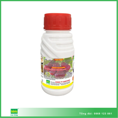 Bò cạp chúa ® 240ml