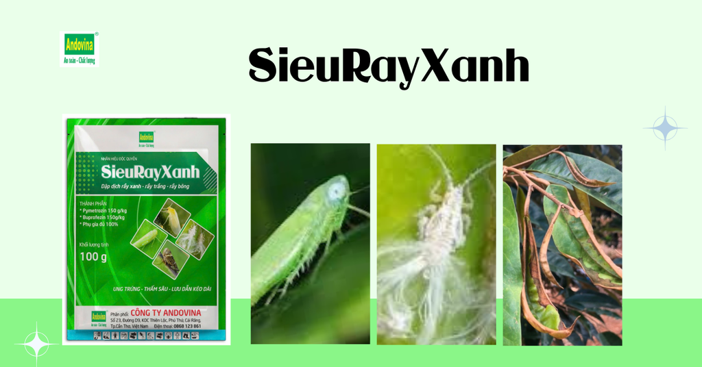 Nhãn hiệu SieuRayXanh 100gr