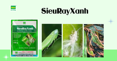 Nhãn hiệu SieuRayXanh 100gr