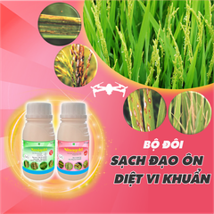 Bộ đôi phòng trừ Đạo ôn - Vi khuẩn