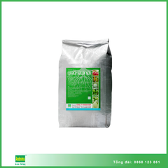 Phân bón ROOT 999 10kg