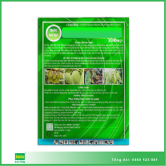 Nhãn hiệu SieuRayXanh 100gr